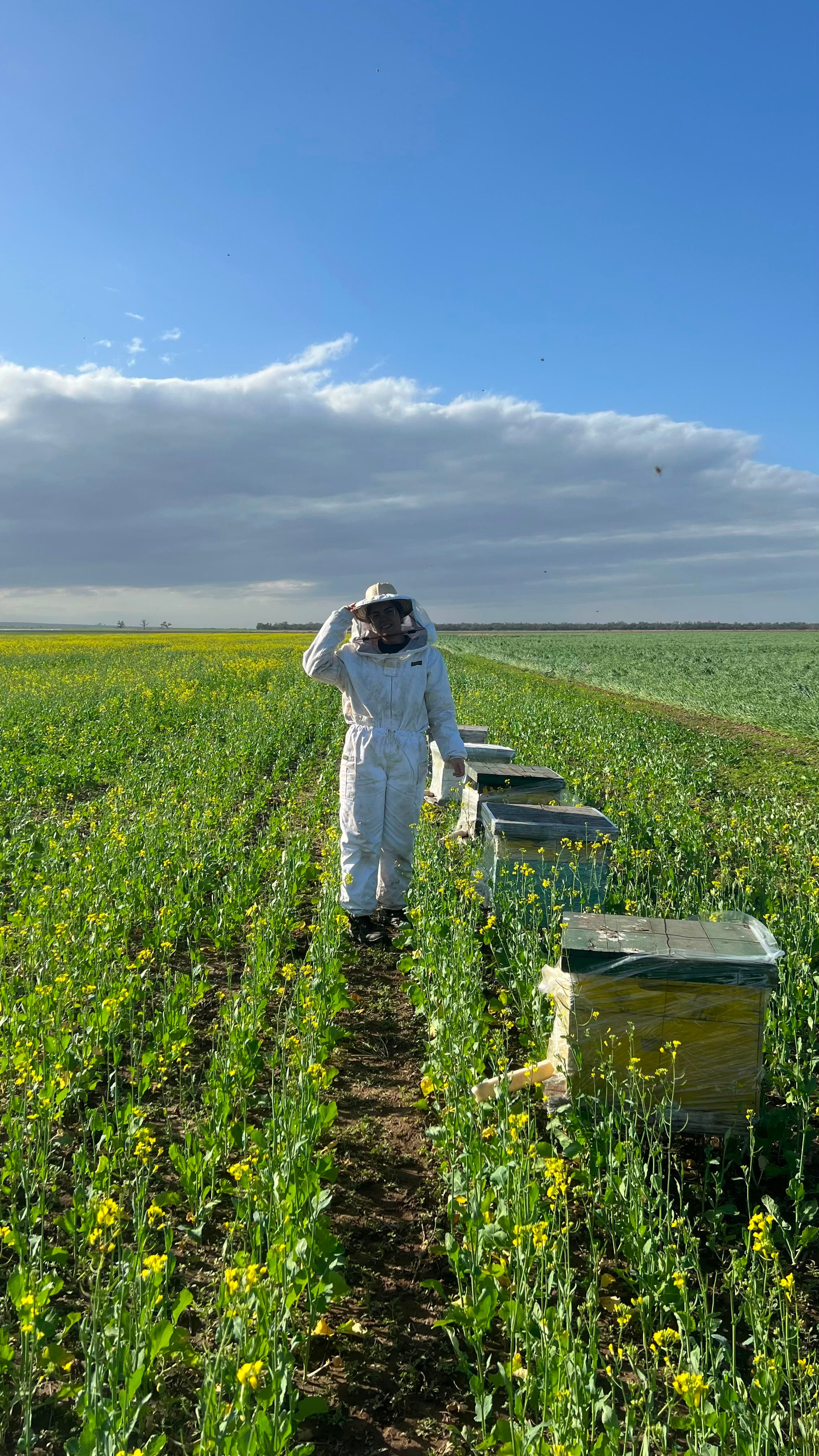 Apicultora de Miel del Sol junto a las colmenas en un campo florecido