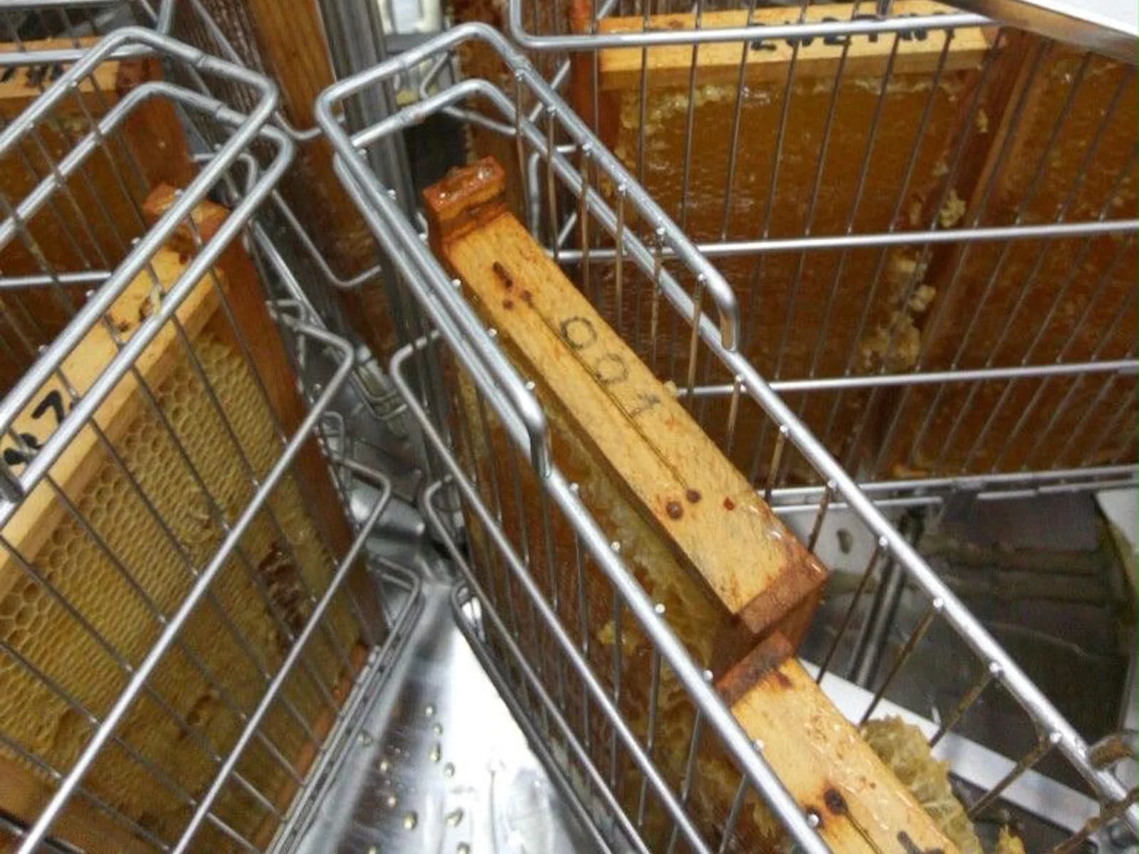 Cuadros de miel dentro de un extractor centrífugo de acero inoxidable