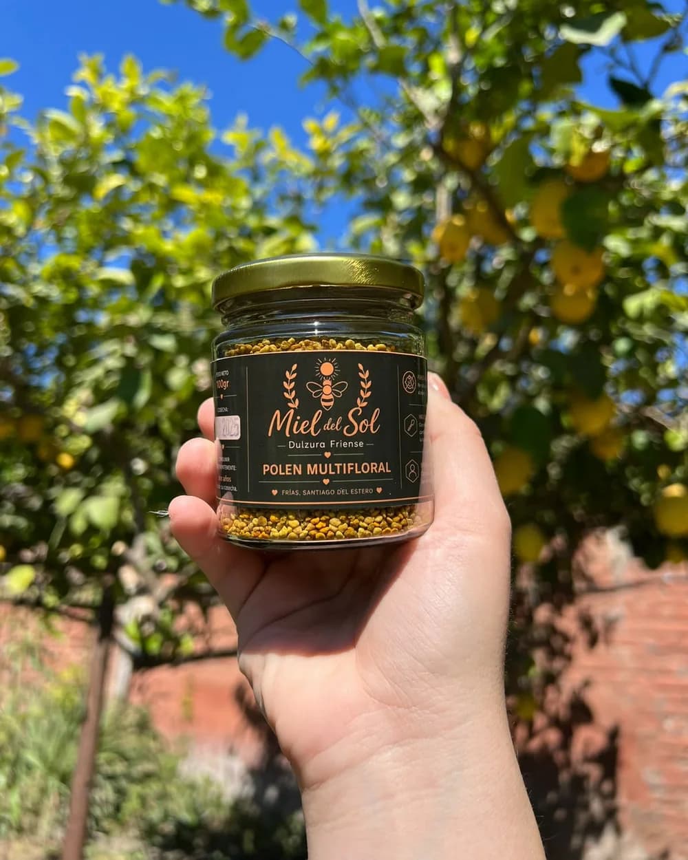 Polen de abeja